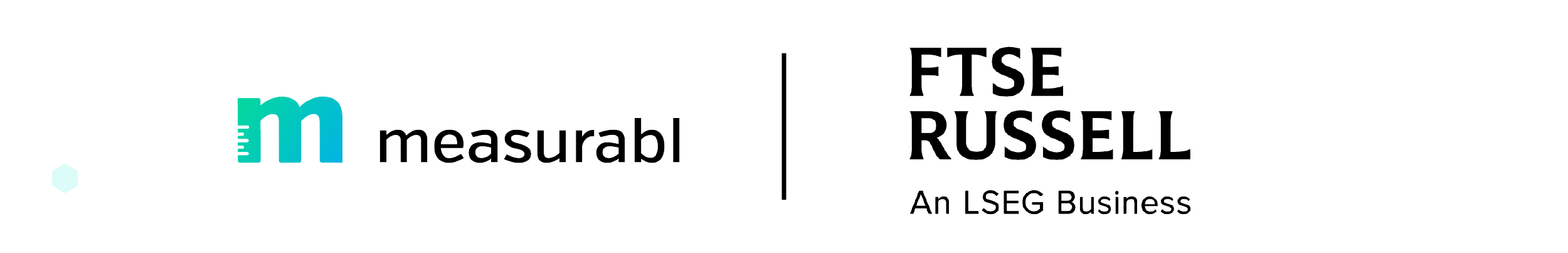 FTSE MEasurabl